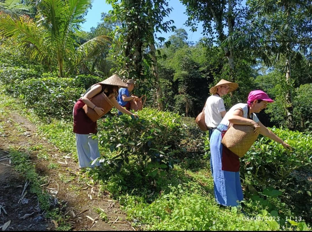 旺茶山边民宿 贾蒂卢维 外观 照片